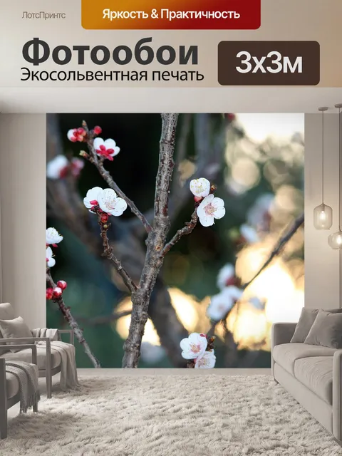 Фотообои расцветает в закате