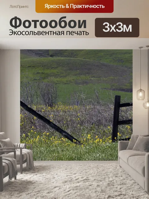 Фотообои Разбитое Вуд изгороди