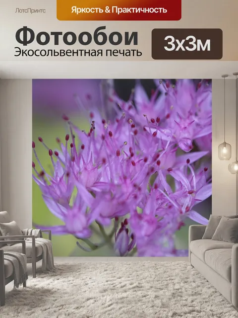 Фотообои Цветы