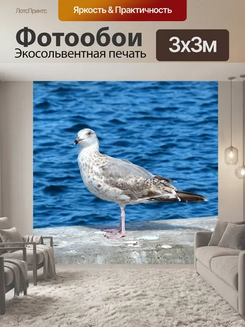 Фотообои Птица