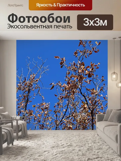 Фотообои ржавые мертвые листья на спящем дереве