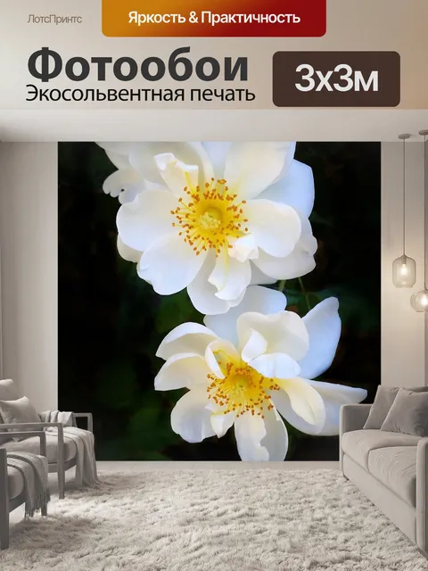 Фотообои Цветы