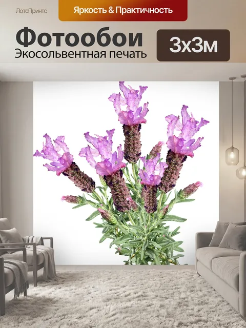 Фотообои Цветы