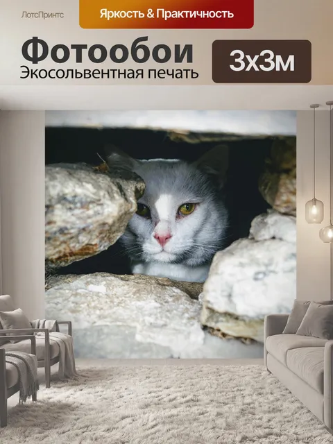 Фотообои Кошка