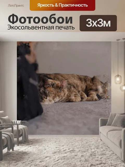 Фотообои крот emerges from the earth