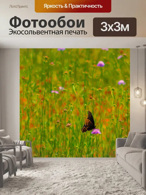 Фотообои Северные swallowtail