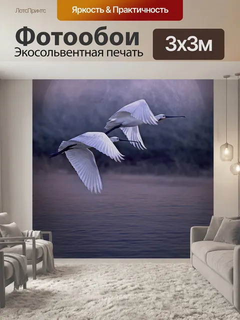 Фотообои Птицы