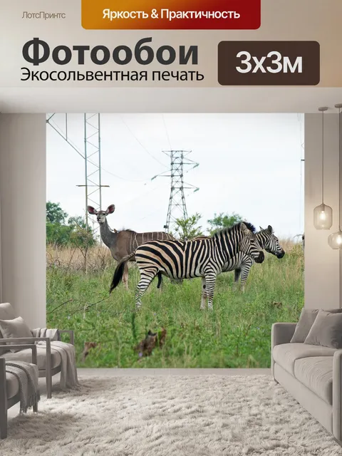 Фотообои группа зебры и антилопы куду