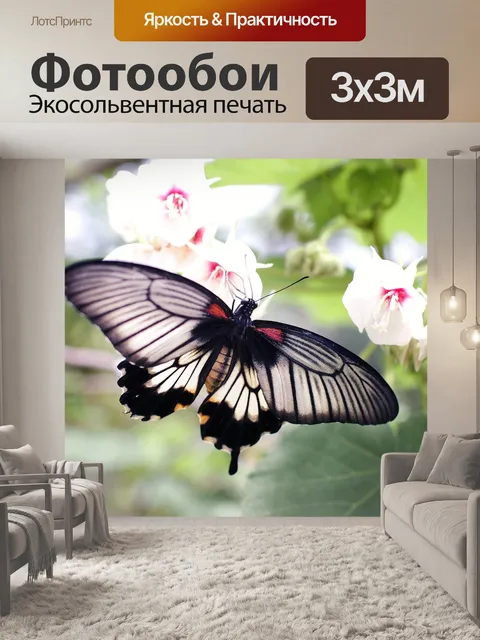 Фотообои Бабочка