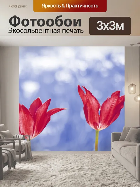 Фотообои Тюльпаны с голубым небом