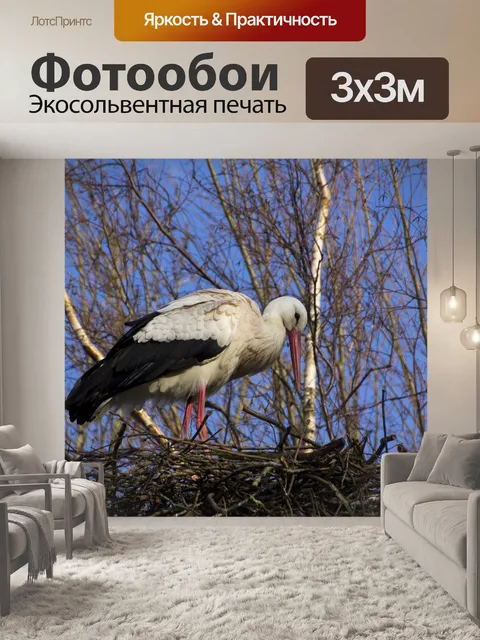 Фотообои Аист