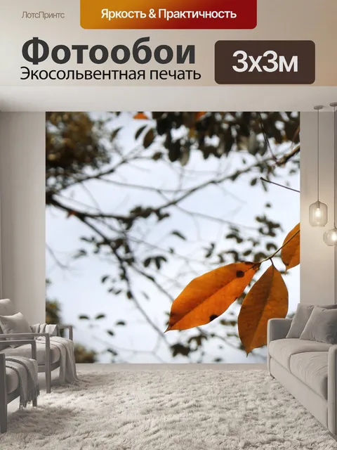Фотообои Лист