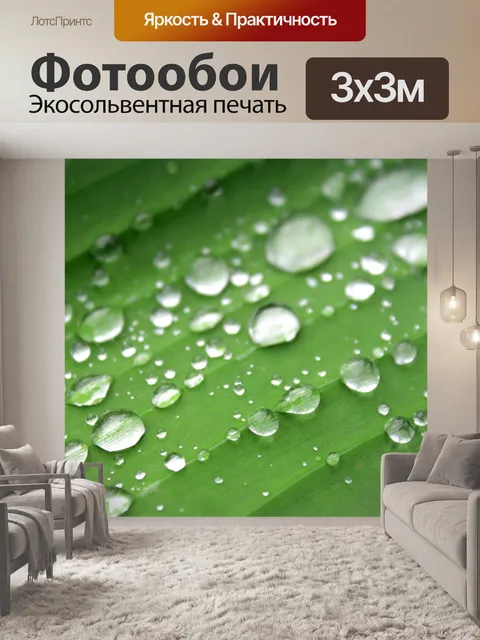 Фотообои Лист банановый