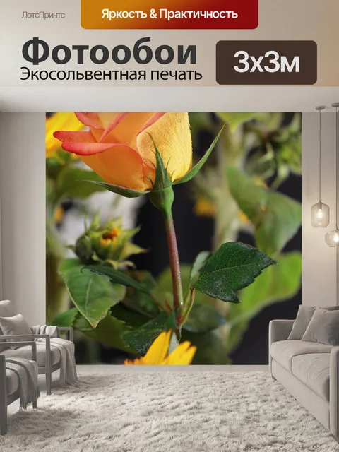 Фотообои Розы