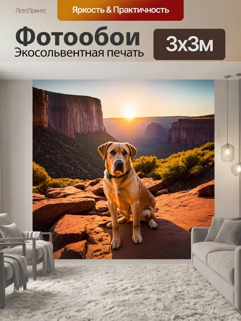 Фотообои лабрадор на фоне величественных скал в национальном парке