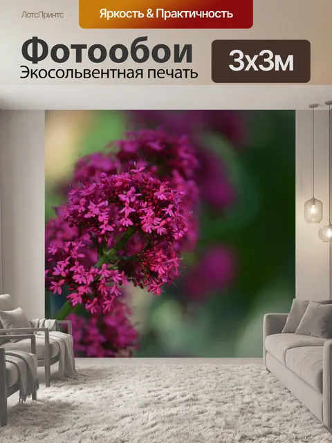 Фотообои Цветы