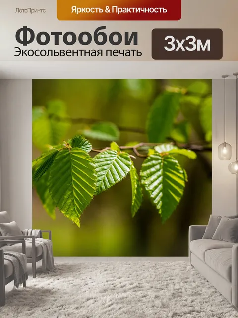 Фотообои Листья