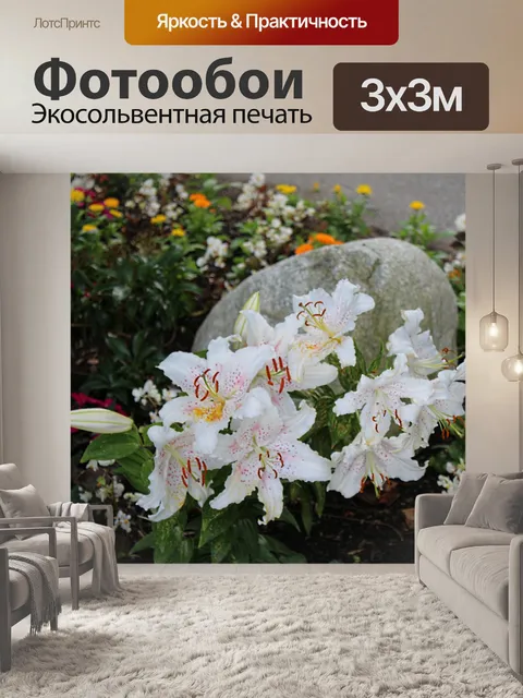 Фотообои Белые цветы 1