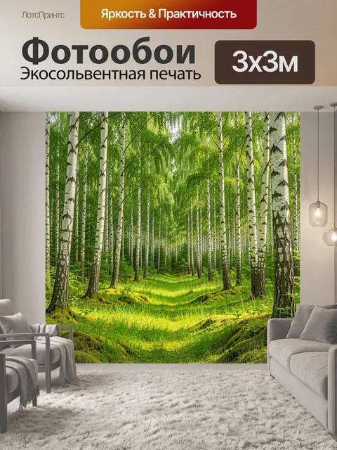 Фотообои Берёзовая роща в зелёном свете