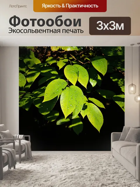 Фотообои листья яркого лимонно-зеленого цвета, покрытые каплями утренней росы, контрастируют с темными тенями джунглей