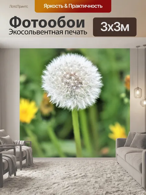 Фотообои Осот огородный