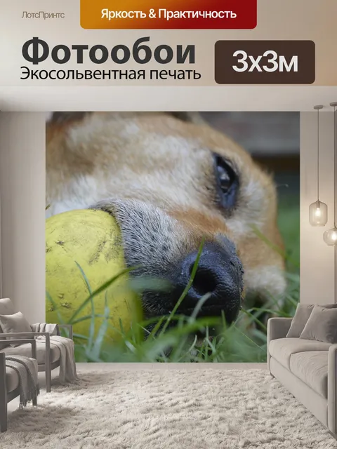 Фотообои Животные
