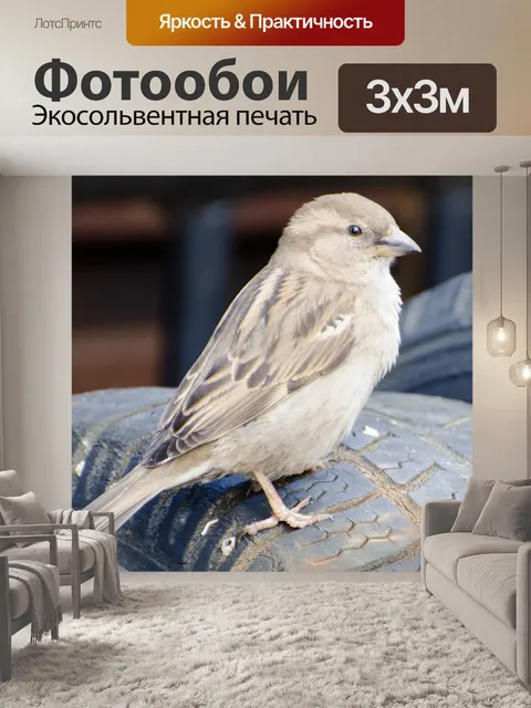 Фотообои Птица - Даннок