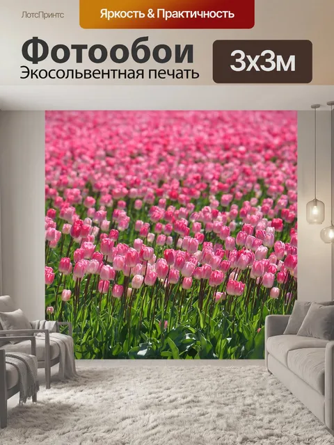 Фотообои Тюльпаны