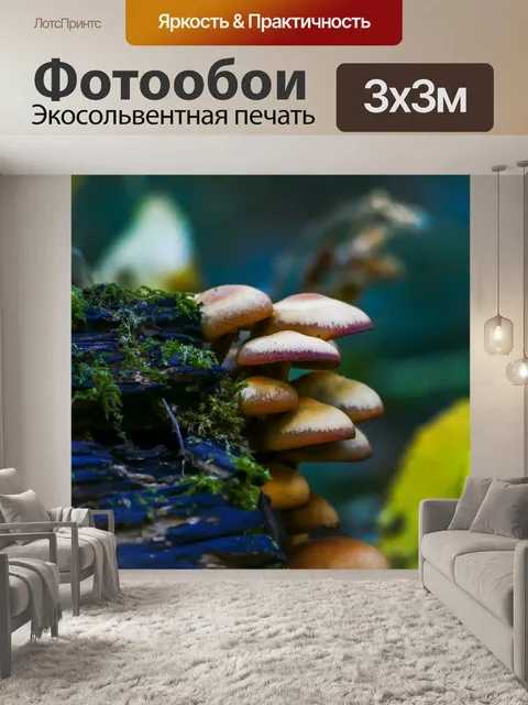 Фотообои Грибы