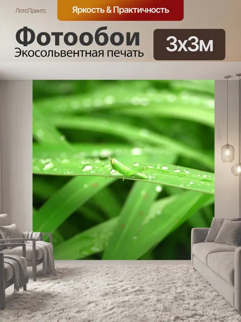 Фотообои Капля воды на листе