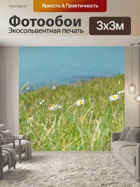 Фотообои Полевые цветы