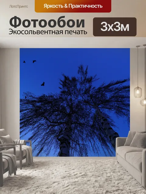 Фотообои Деревья