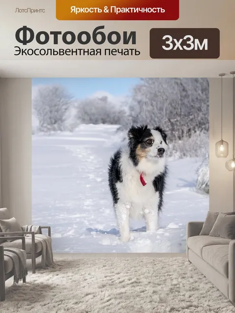 Фотообои Зима