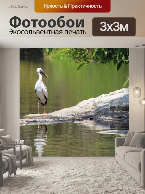 Фотообои Птицы