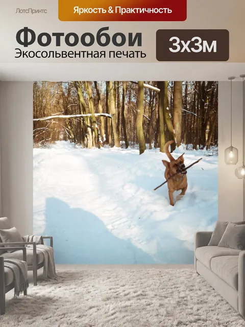 Фотообои Fun с собакой