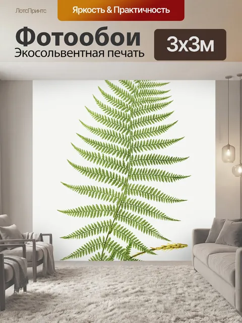 Фотообои Лист папоротника винтажное искусство