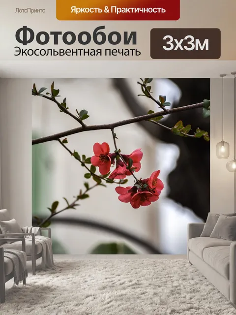 Фотообои Цветы