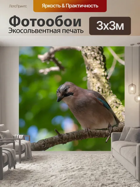 Фотообои Птица