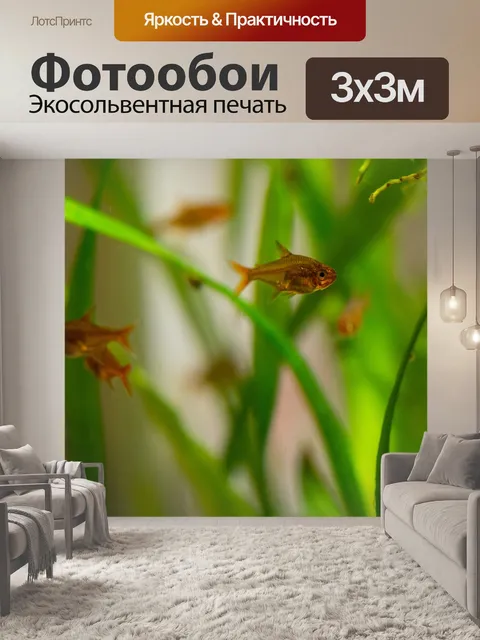 Фотообои Аквариум