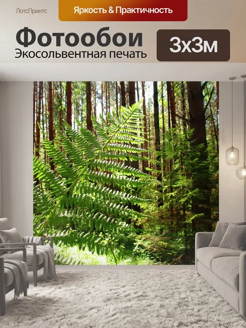 Фотообои Папоротник