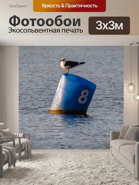 Фотообои Чайка