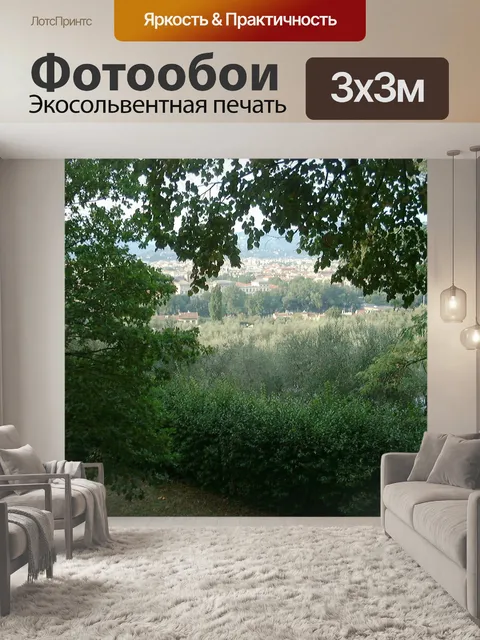 Фотообои Флоренция 2000 года 4