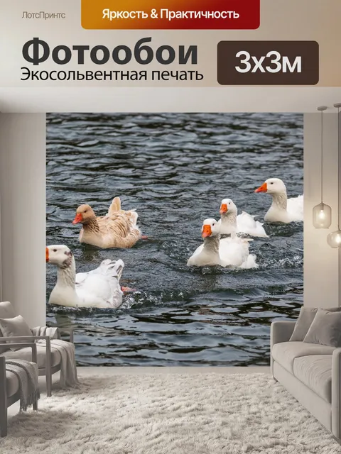 Фотообои Гусь