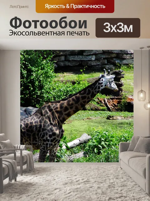 Фотообои Kansas City Zoo Жираф