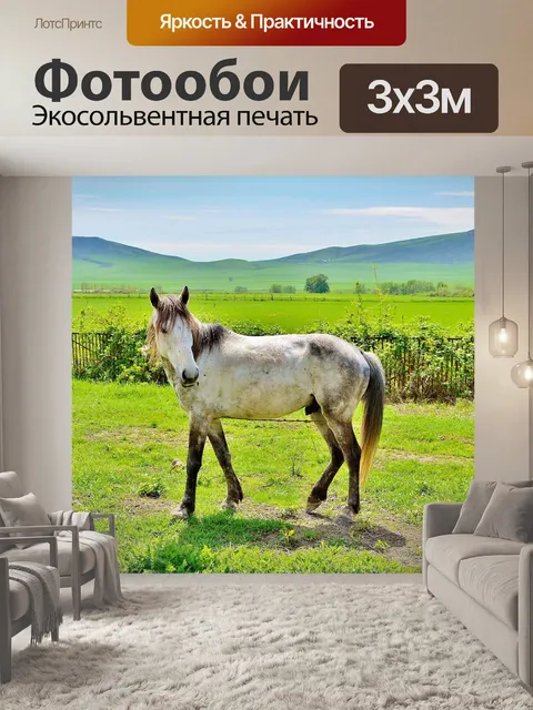Фотообои Белый