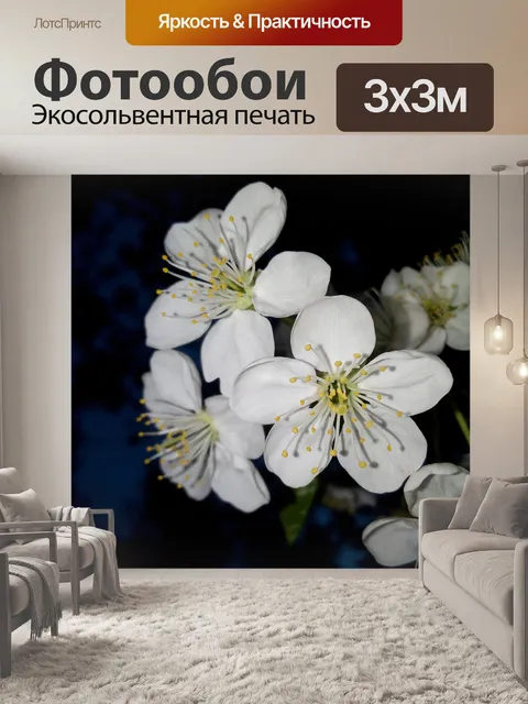 Фотообои Вишни в цвету