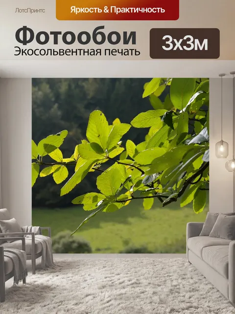 Фотообои Листья