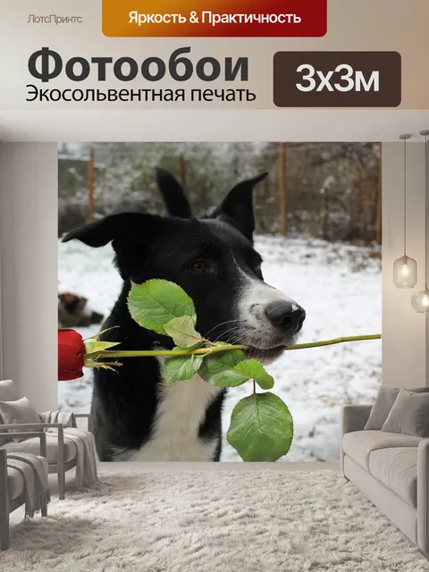 Фотообои Собака