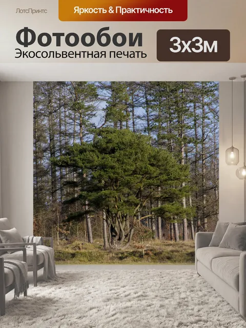 Фотообои Деревья