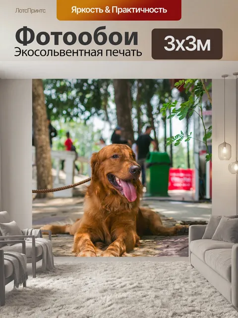Фотообои Золотой